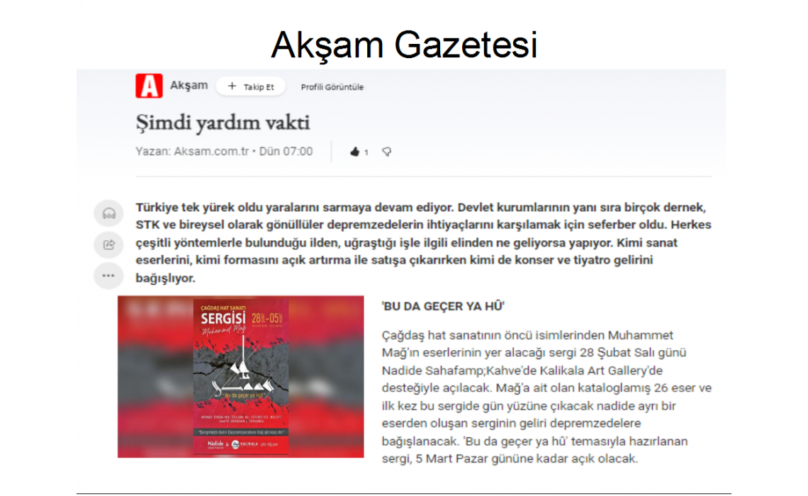 Akşam Gazetesi 